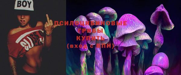 гашик Куровское