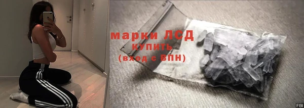 тгк Новодвинск