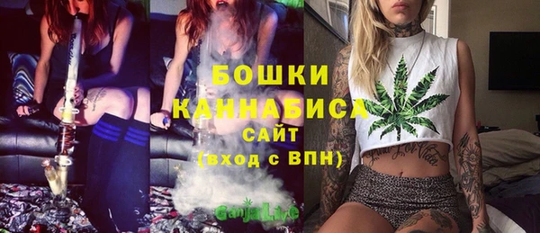 тгк Новодвинск