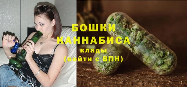 тгк Новодвинск