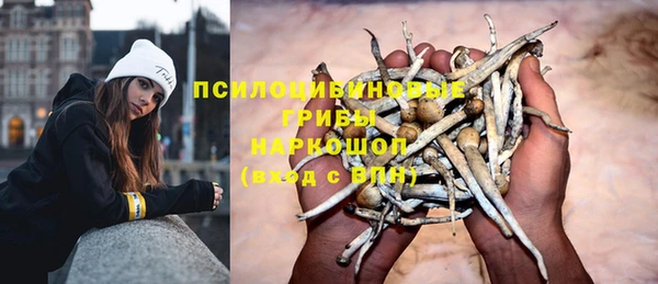 тгк Новодвинск