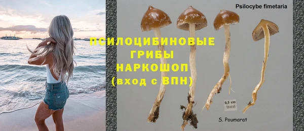 герыч Новозыбков